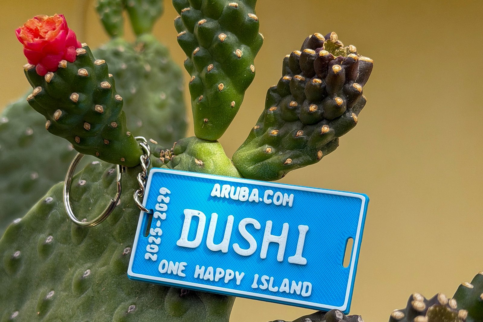 Keychain - Numberplate (CUSTOMIZABLE)