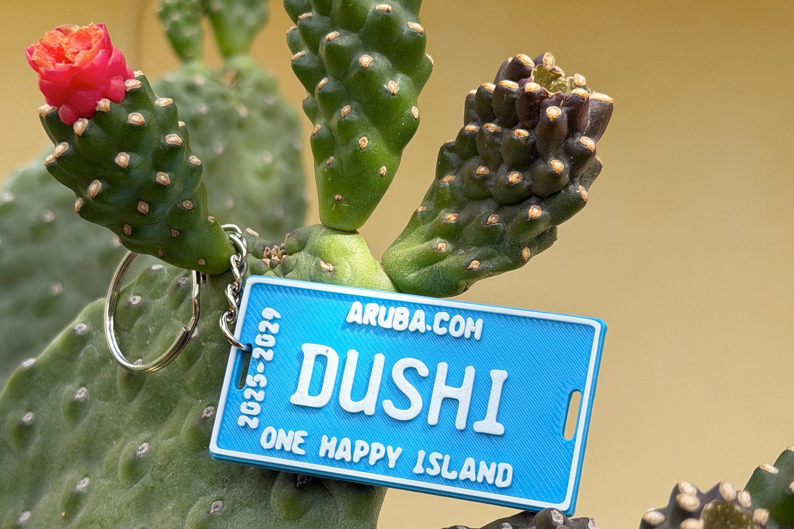 Keychain - Numberplate (CUSTOMIZABLE)