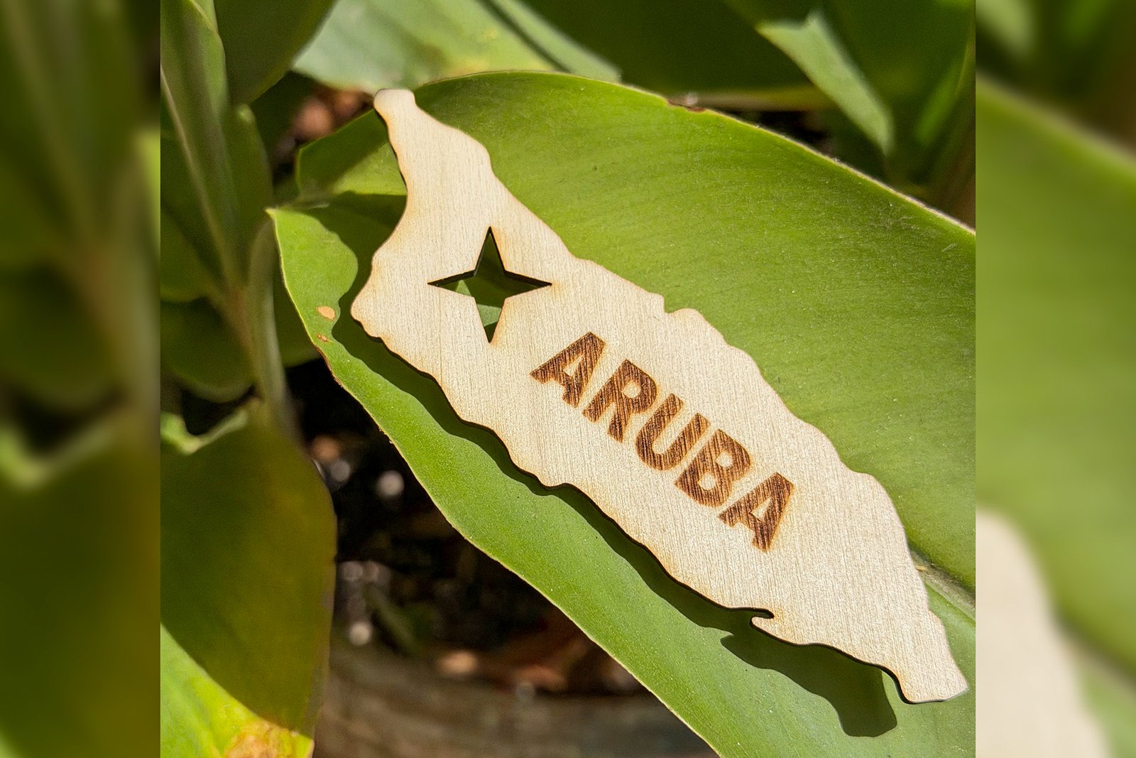 Magnet - Wood - Aruba map