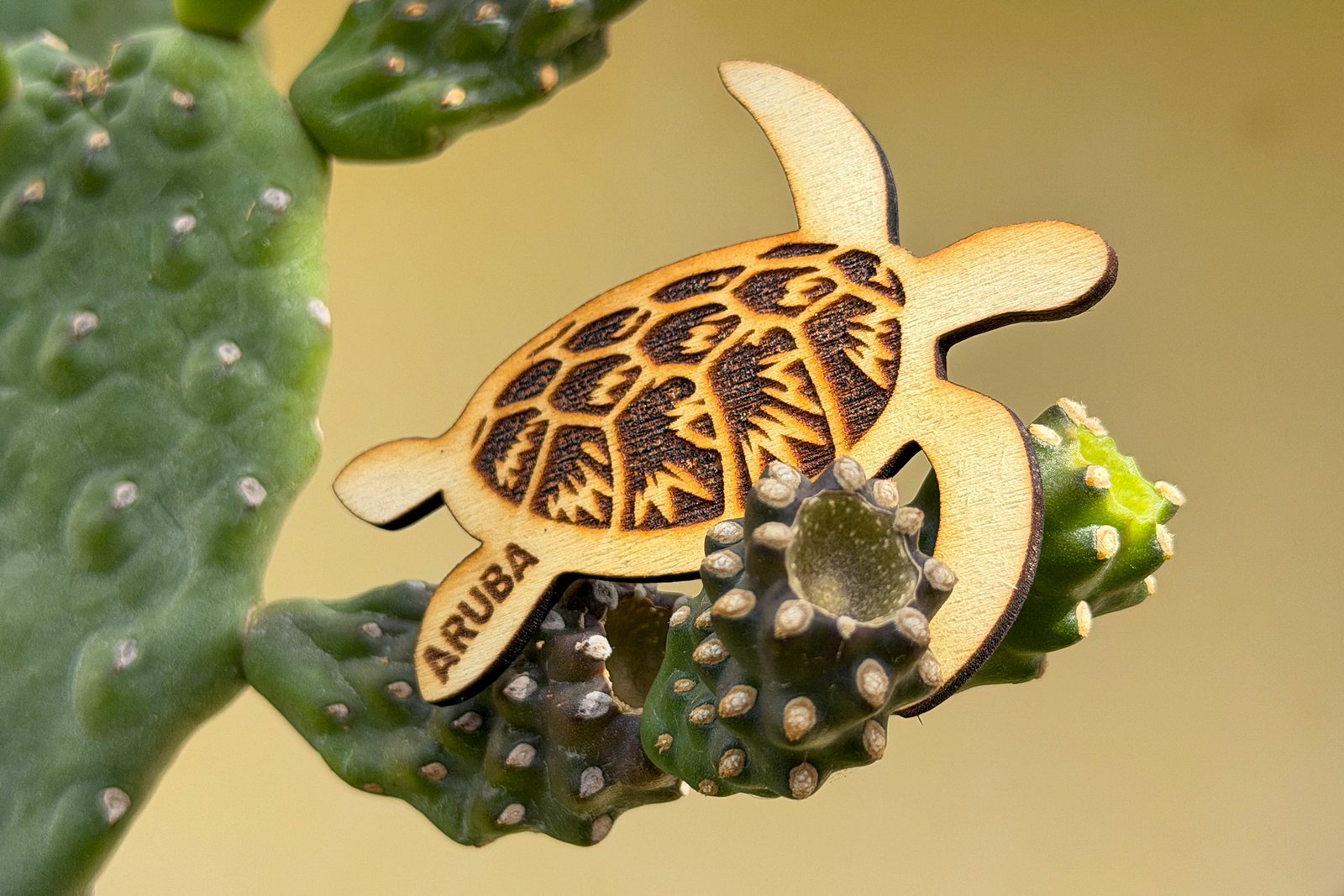 Magnet - Wood - Turtle