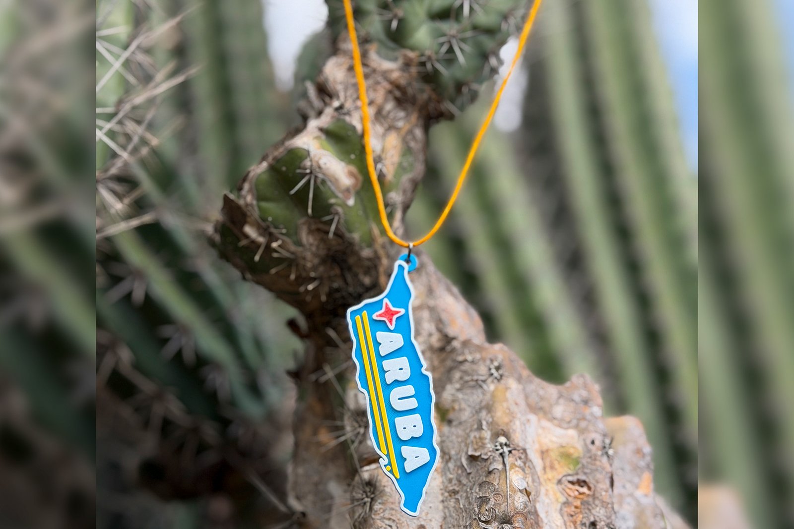 Necklace - Aruba map